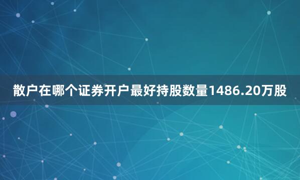 散户在哪个证券开户最好持股数量1486.20万股